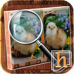 h Find The Differences 2 HD logo