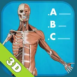 Anatomy Quiz - muscles and bones logo