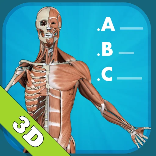 Anatomy Quiz - muscles and bones logo