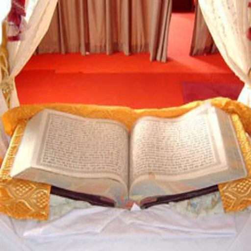 Sikh World logo