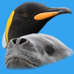 Antarctic Wildlife Guide logo