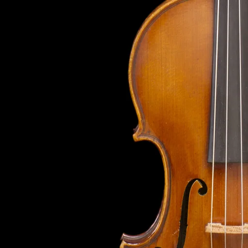 FingerFiddle logo
