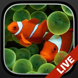 Aquarium Dynamic Wallpapers+ logo