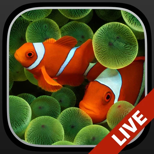 Aquarium Dynamic Wallpapers+ logo