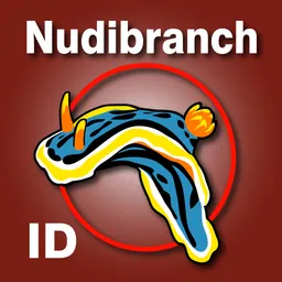 Nudibranch ID Indian Ocean logo