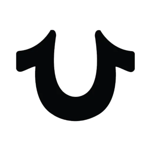 True Religion | Since 2002 logo