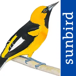 All Birds Ecuador field guide logo