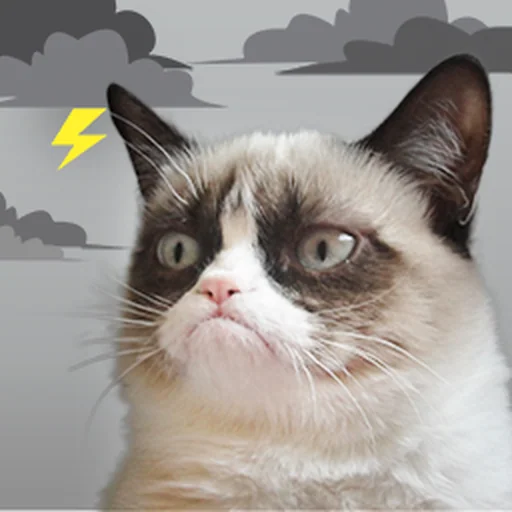 Grumpy Cat's Funny Weather logo