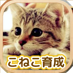 Cat Healing Life logo