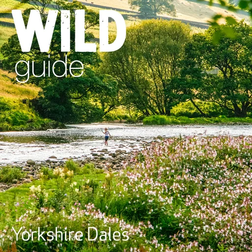 Wild Guide Yorkshire Dales logo