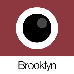 Analog Brooklyn logo