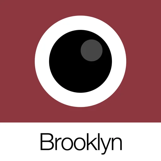 Analog Brooklyn logo