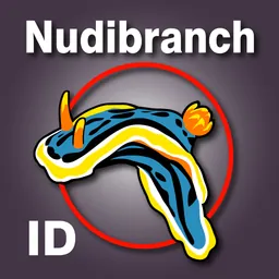 Nudibranch ID West Pacific logo