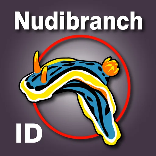 Nudibranch ID West Pacific logo
