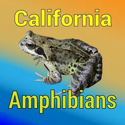 California Amphibians logo