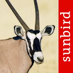 Mammal Guide of Southern Africa logo