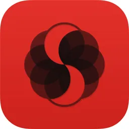 SQL Server / MSSQL by SQLPro logo