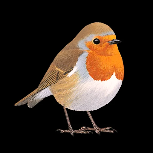 Collins British Bird Guide logo