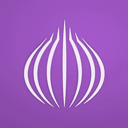 TOR Browser: OrNET Onion + VPN logo