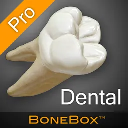 BoneBox™ - Dental Pro logo