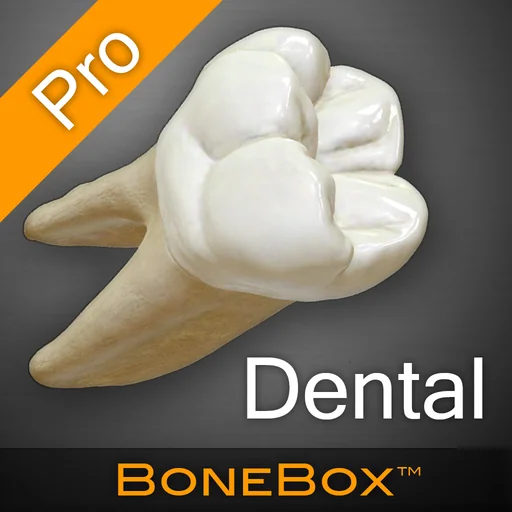 BoneBox™ - Dental Pro logo
