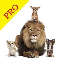 Animal Sounds Pro & Bird Noise logo