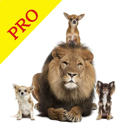 Animal Sounds Pro & Bird Noise logo