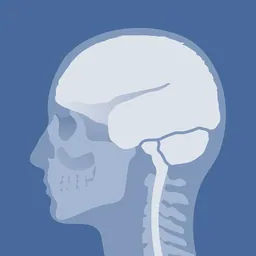 Head Atlas logo