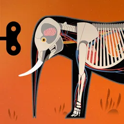 Mammals by Tinybop logo