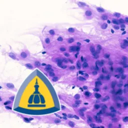 Surgical Neuropathology logo