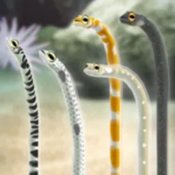 Garden Eel Pet logo