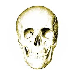 Anatomy Quiz Lite logo