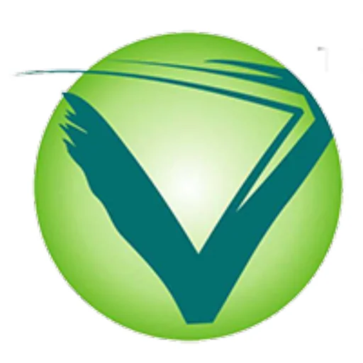 Vidal Health logo
