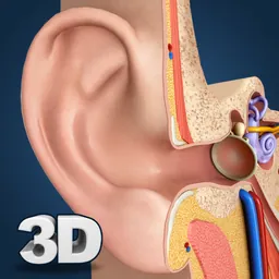 My Ear Anatomy logo