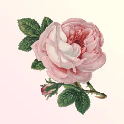 Classical Birthday logo