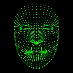 Face Mesh logo