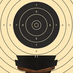 Air Pistol Simulator logo