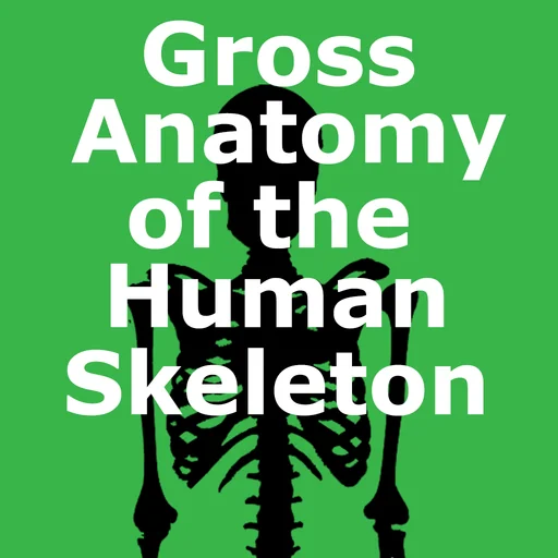 Human Skeleton: Gross Anatomy logo