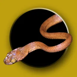 Australian Snake ID logo