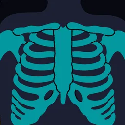 First FRCR Anatomy logo
