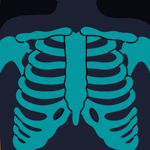 First FRCR Anatomy logo