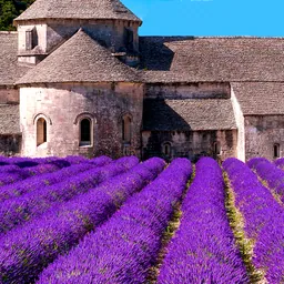 Provence’s Best: Travel Guide logo