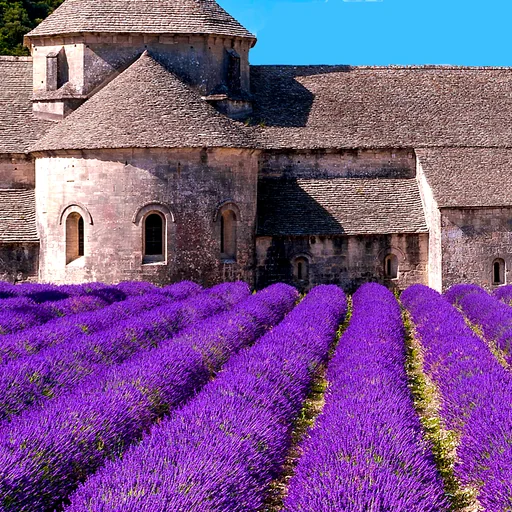 Provence’s Best: Travel Guide logo
