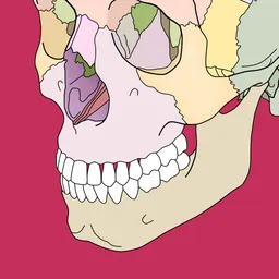 Body coloring book logo