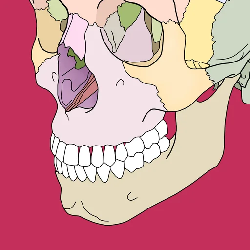 Body coloring book logo