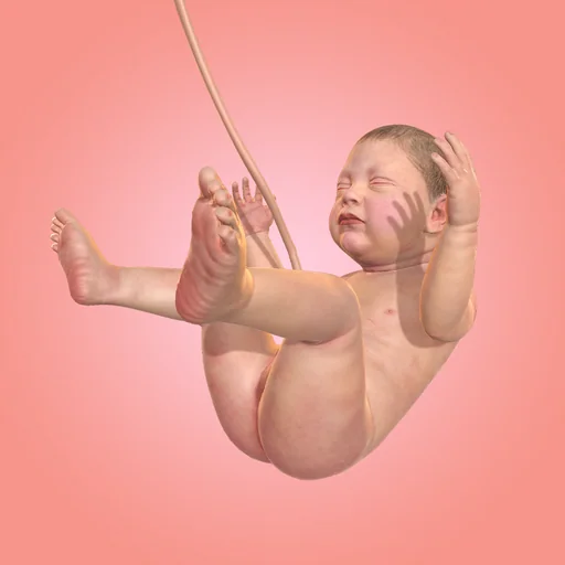 Idle 9 Months logo