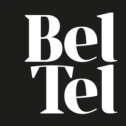 Belfast Telegraph ePapers logo