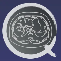 CT PassQuiz Abdomen / MRI logo