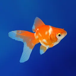 Goldfish - Aquarium Fish Tank logo