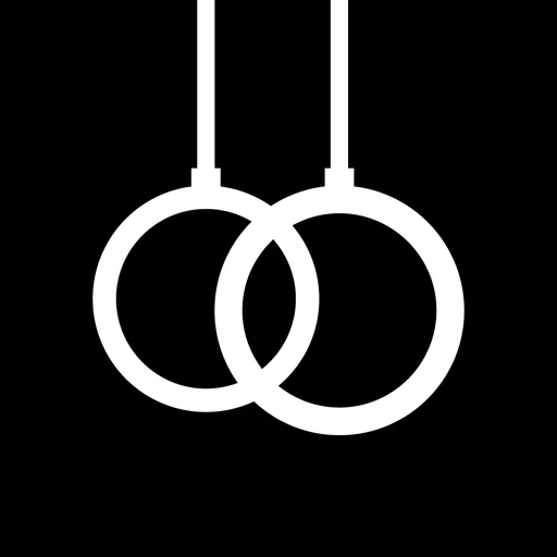 DIE RINGE Calisthenics Workout logo